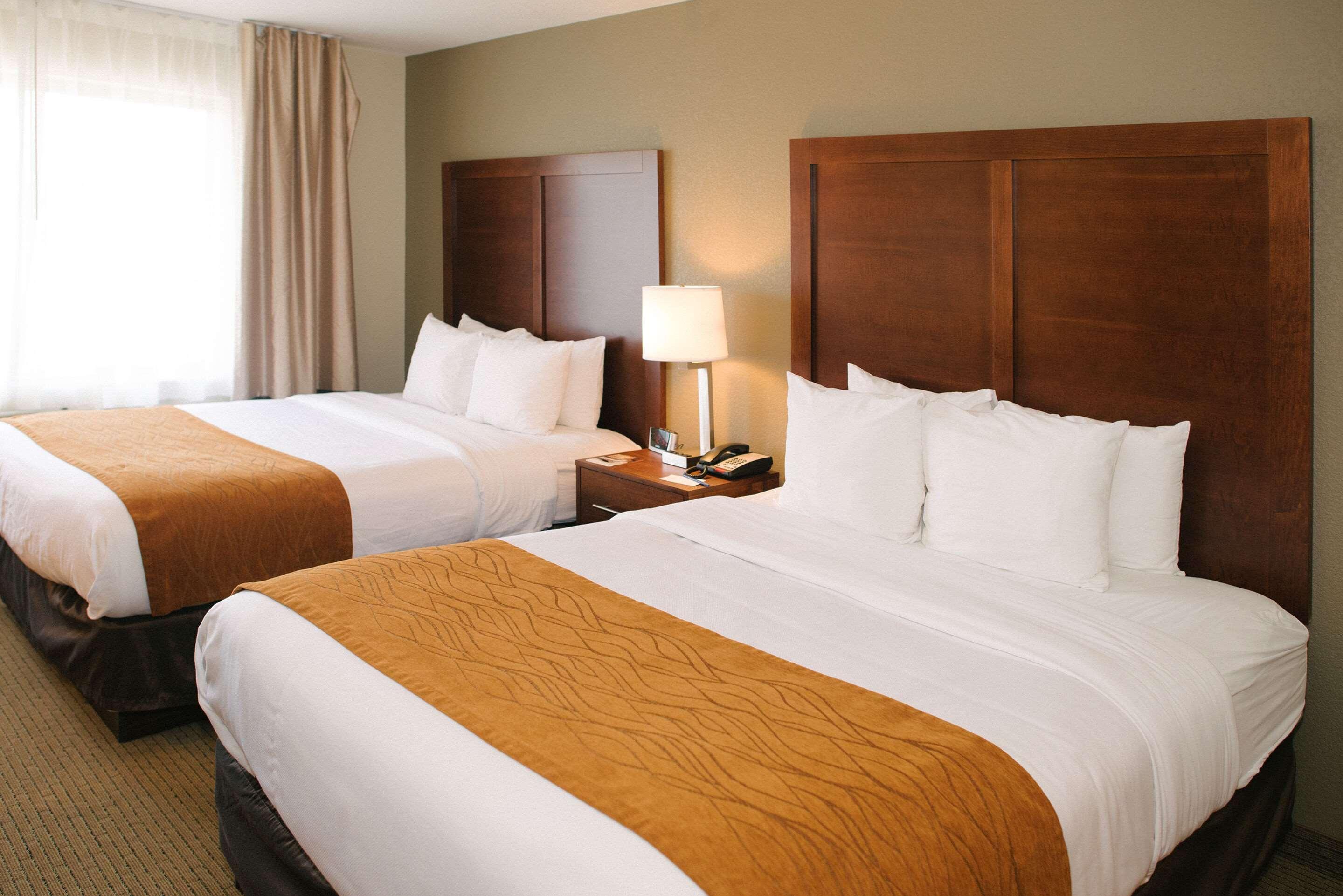 Comfort Inn & Suites Custer Kültér fotó