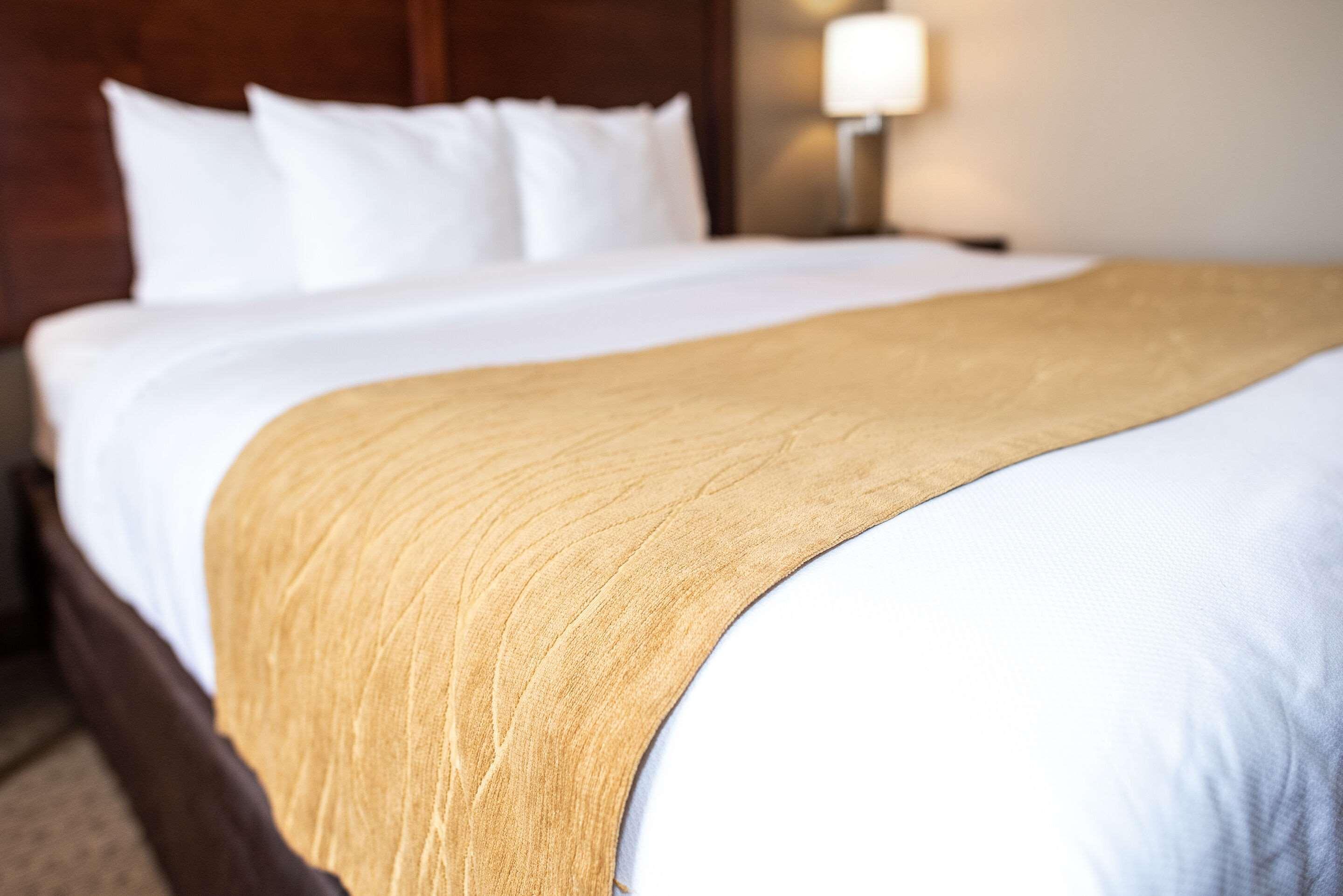 Comfort Inn & Suites Custer Kültér fotó